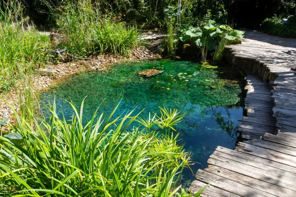 Création de bassin à Buzancy